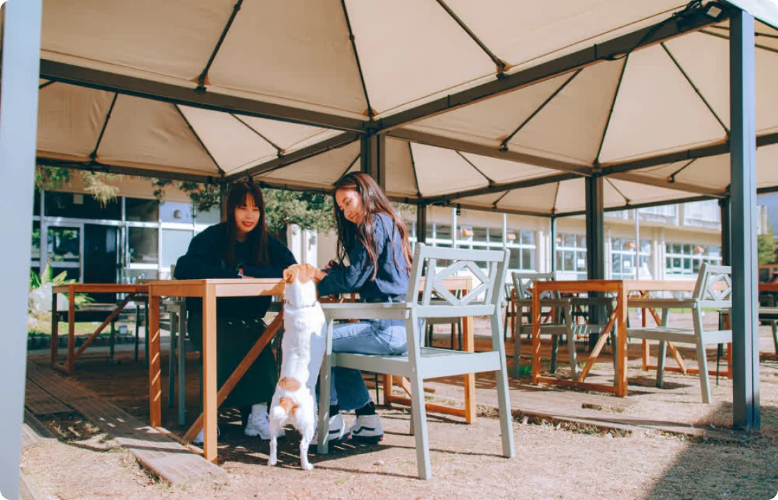 愛犬と一緒にBBQディナー