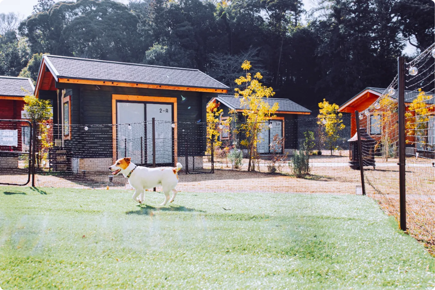 DOG CABIN プライベートドッグラン