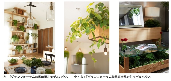 171130_GREEN DECORATION SERVICE_01.jpg