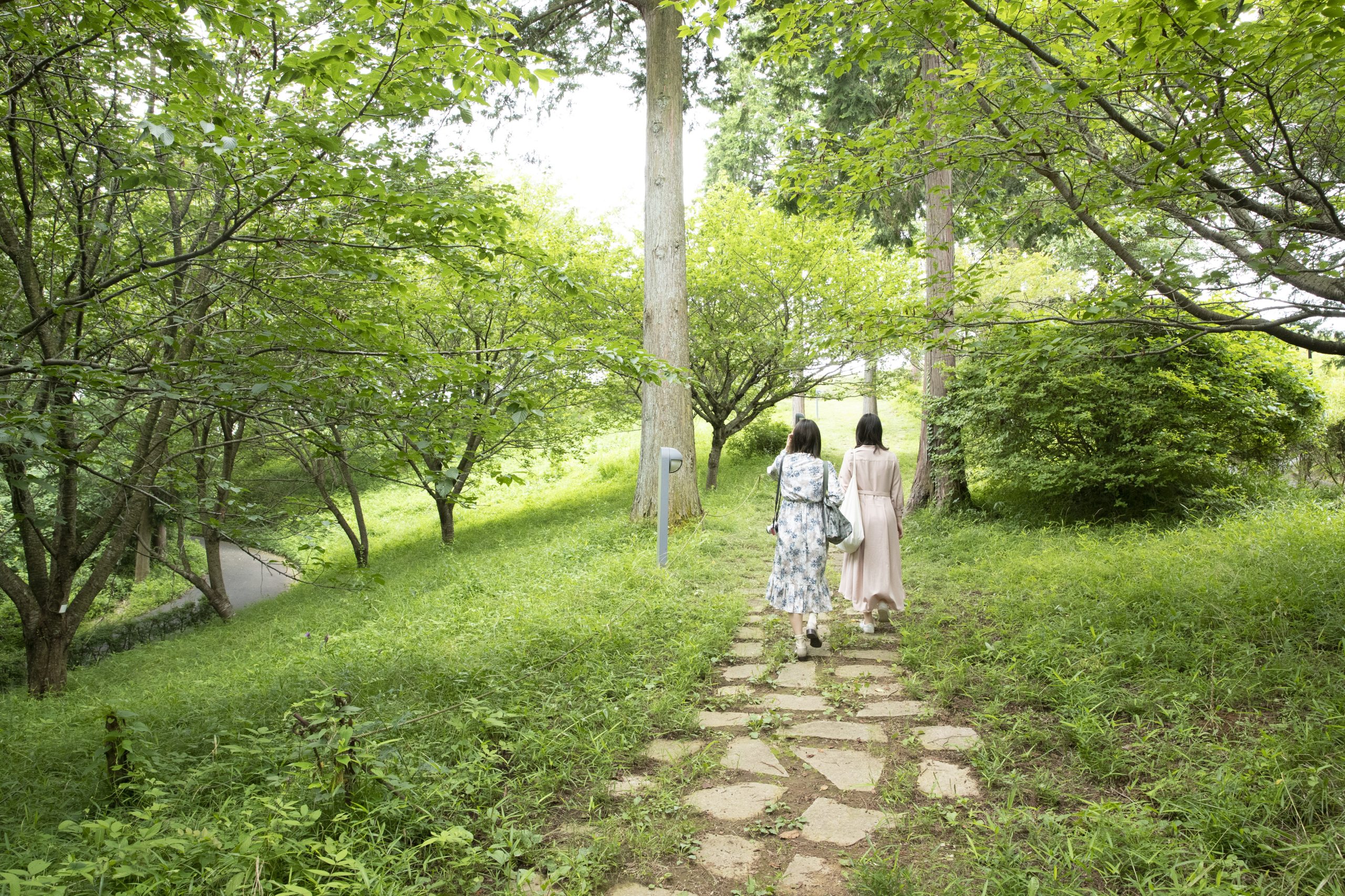 第20回かさま新栗まつり開催のお知らせ
