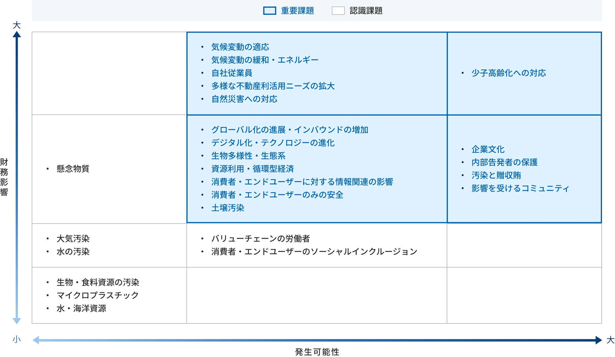 凡例：重要課題・認識課題