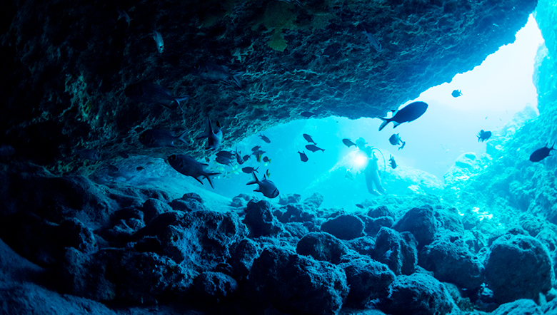 ダイビング（青の洞窟）