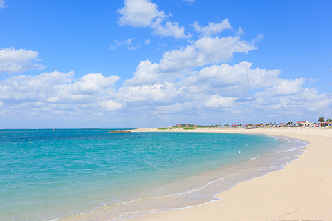 美らSUNビーチ（徒歩16分／約1,230m）