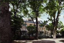 ザ・ロアハウス上野毛