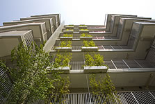 イニシア川口並木