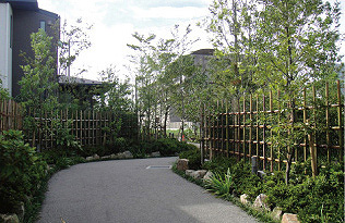 「舞浜の杜」緑道（平成21年8月撮影）