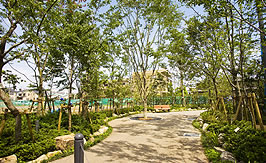 「舞浜の杜」緑道（平成21年7月撮影）