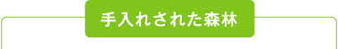 手入れされた森林