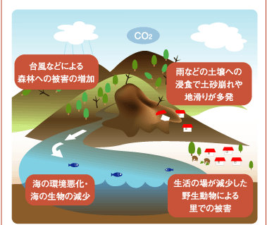 手入れされていない森林