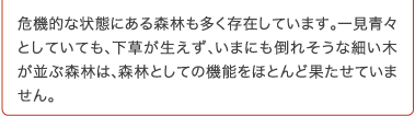 手入れされていない森林