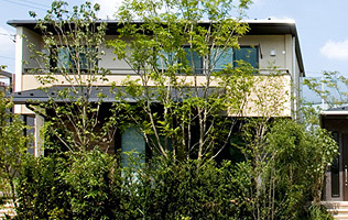 外観写真（平成21年8月撮影）