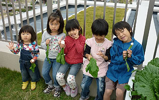 「イニシア箕面小野原」屋上菜園（平成21年10月撮影）