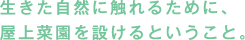 生きた自然に触れるために、屋上菜園を設けるということ。