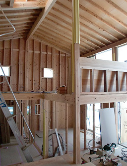 現地（平成22年6月15日撮影）