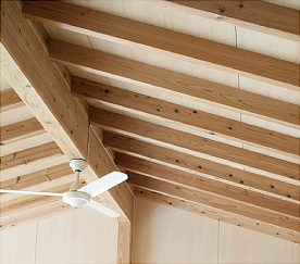 天然の垂木（写真2）