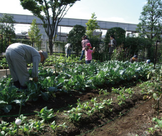 ファームガーデンの様子（平成22年10月撮影）