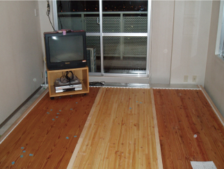 床材施行実験の写真(平成21年1月撮影)