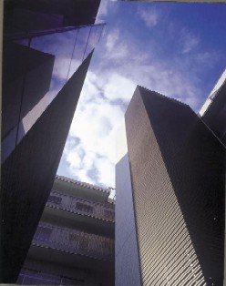 コスモ・ザ・パークス調布多摩川 外観