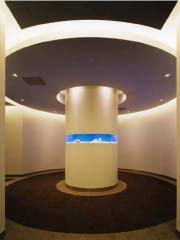 エントランスから応接室への廊下に設けた熱帯魚水槽「癒し」を与えるとともに、空間に広がりを持たせる機能的なデザイン