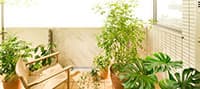 バルコニーサムネイル