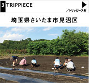 トリッピース村