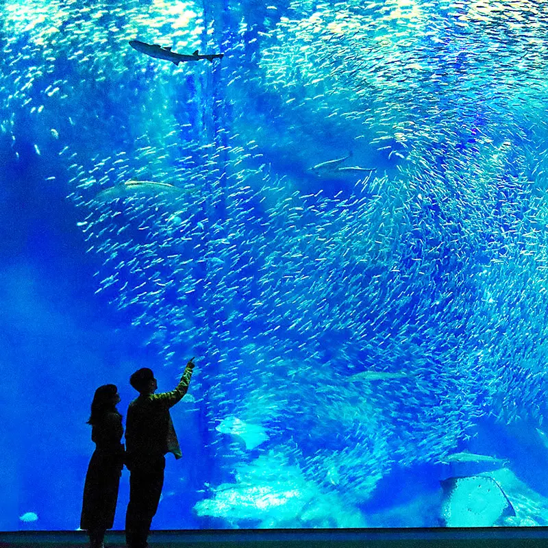 アクアワールド・大洗　グランピングイメージ