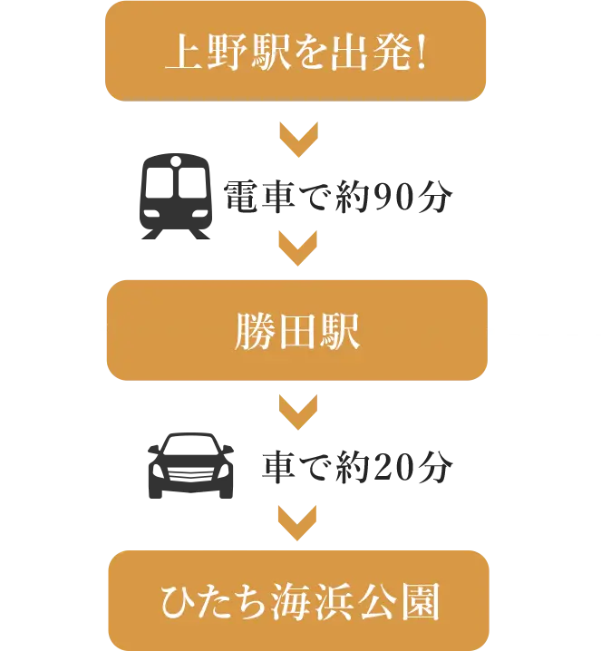 グランピングへの経路