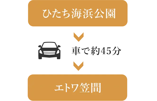 グランピングへの経路