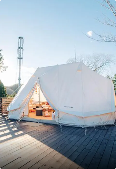 グレイステント