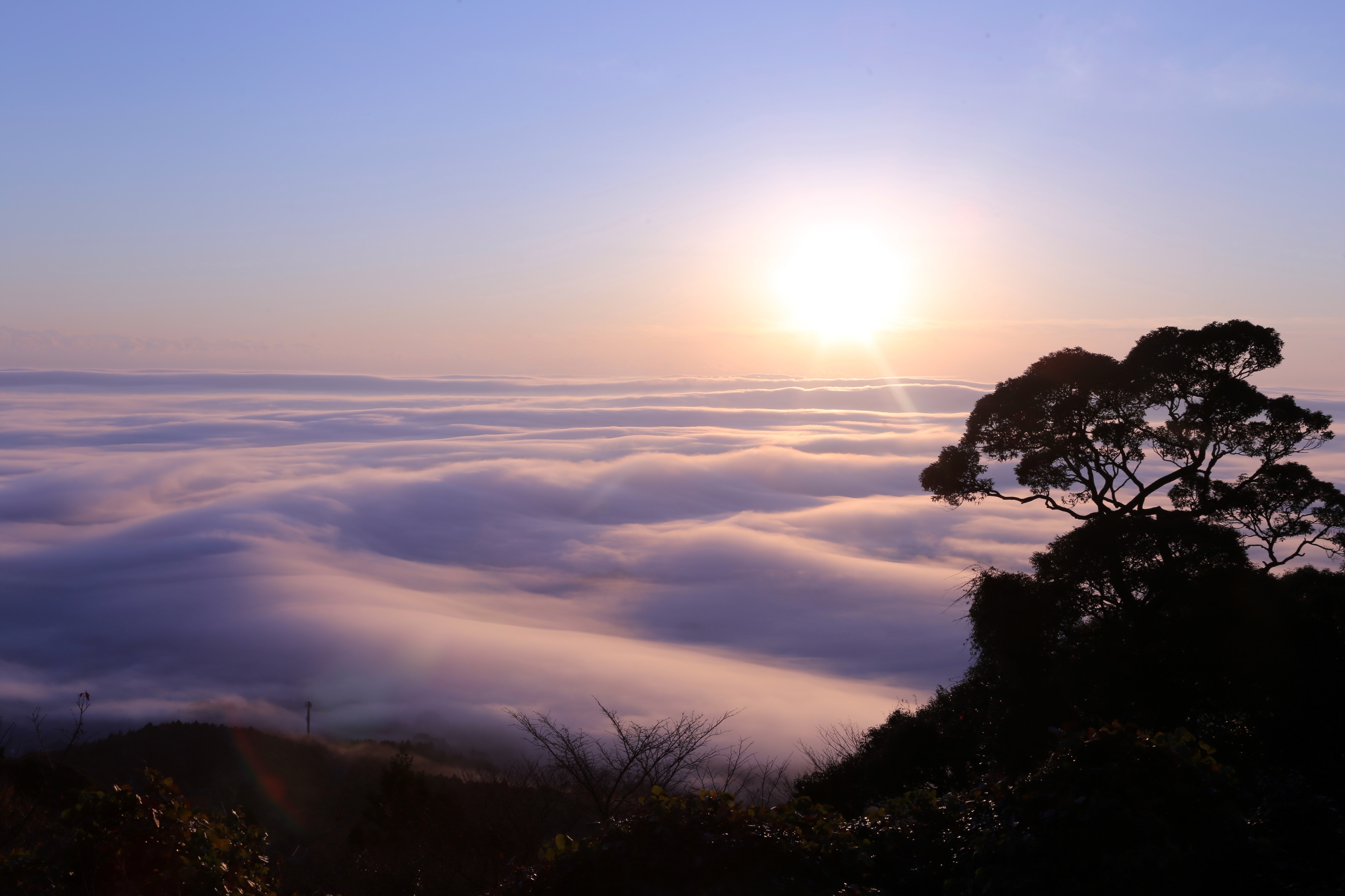 愛宕山から望む雲海１