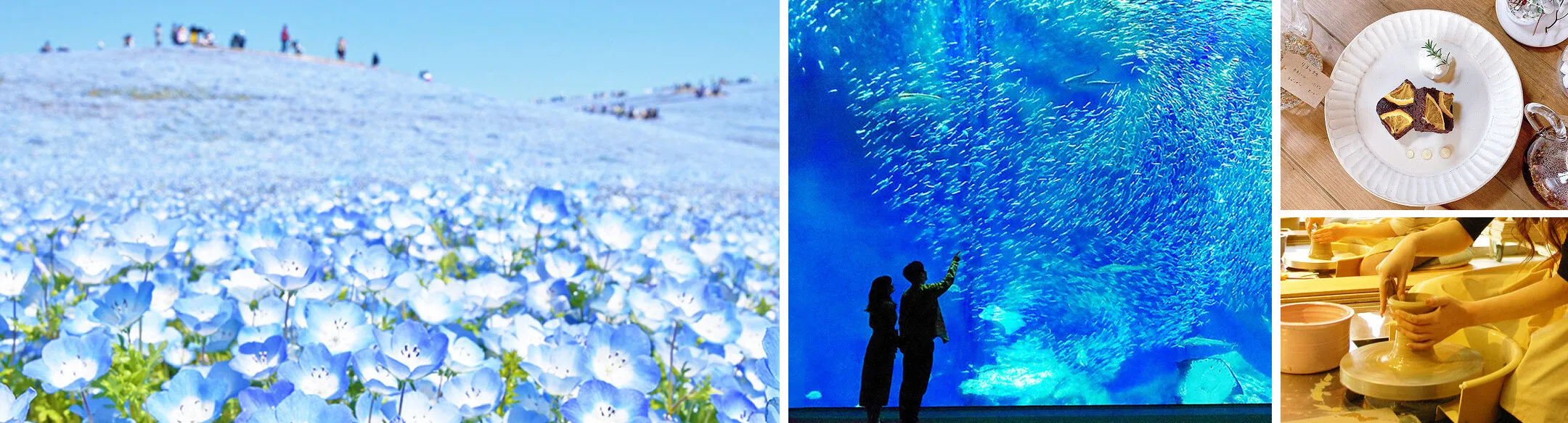 周辺施設・観光スポット