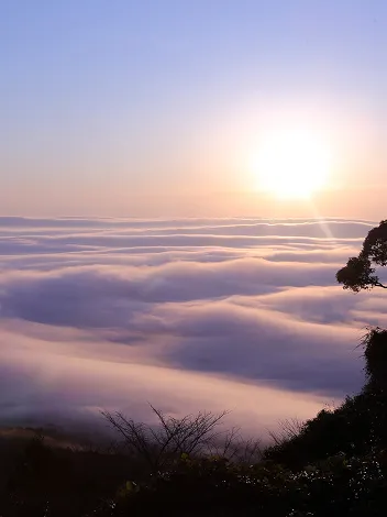 インスタグラム