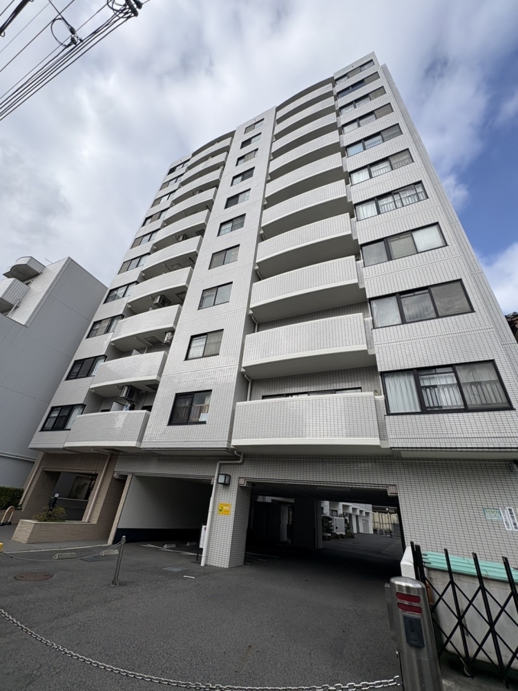 コスモトゥデイ