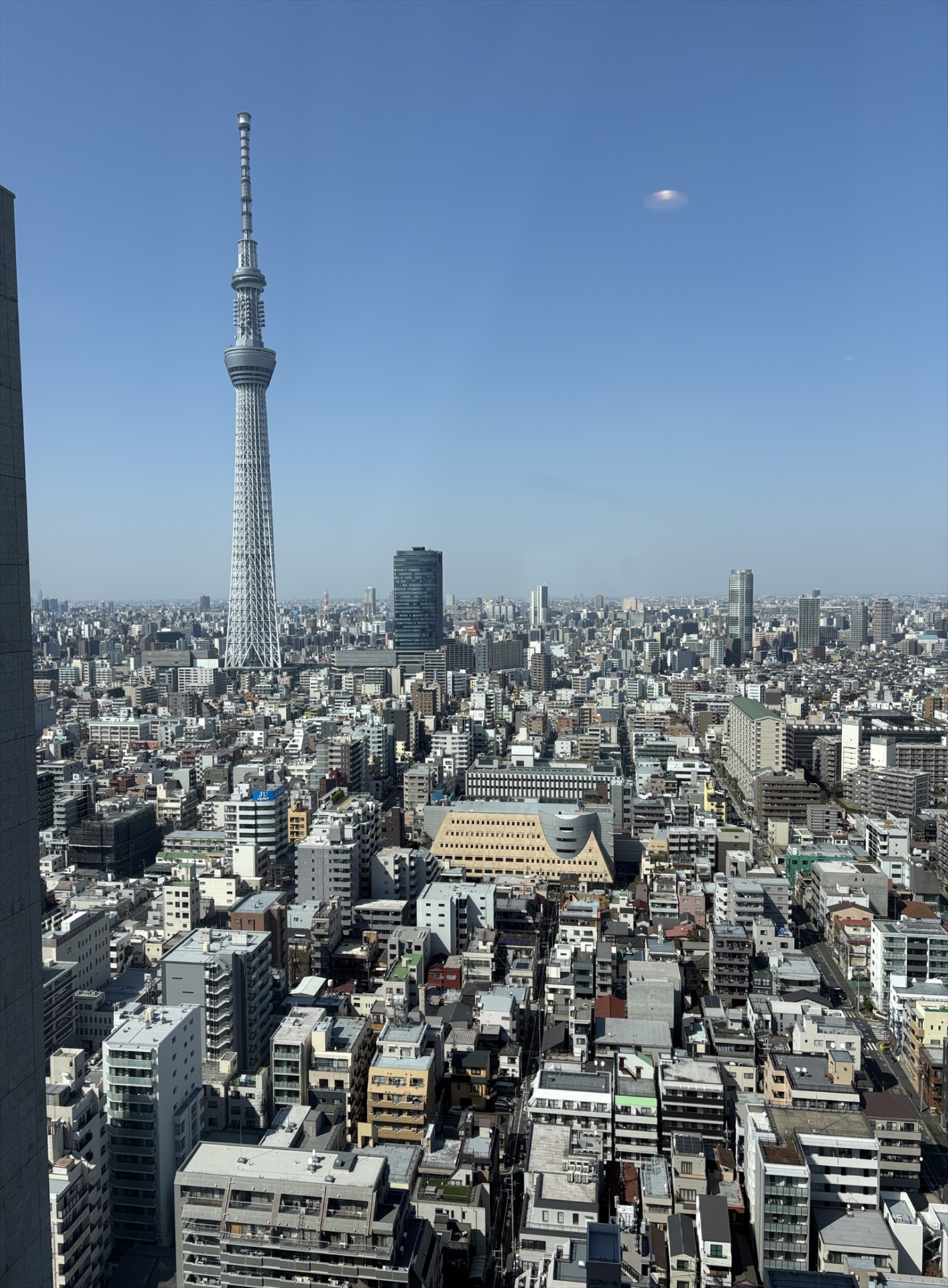 【リビング】窓からの眺め(2026年3月)