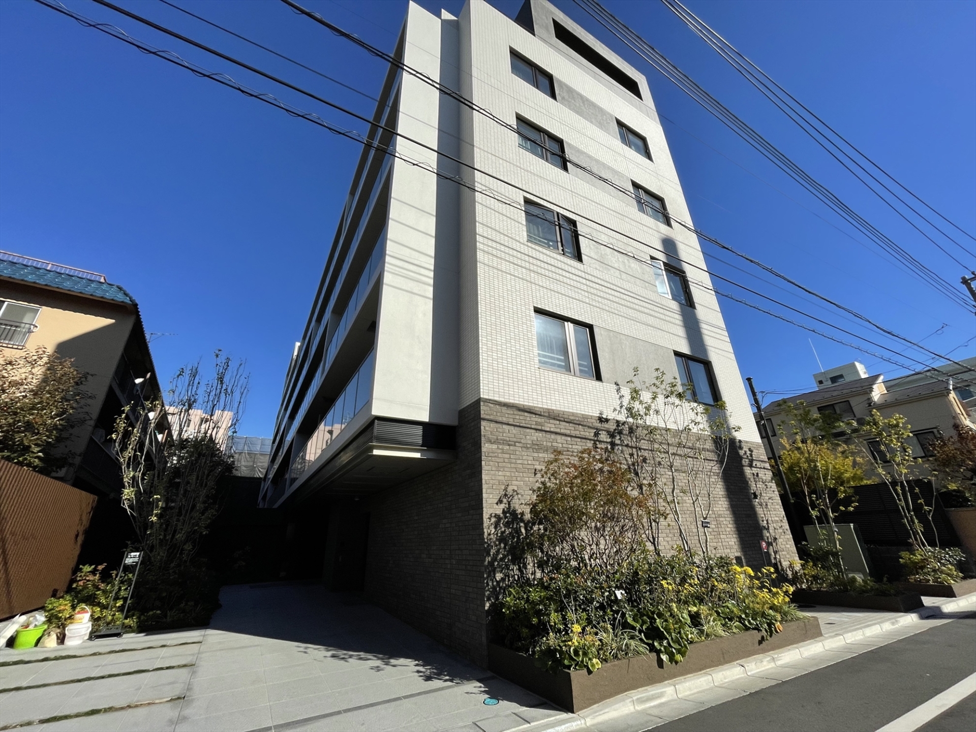 【外観】植栽で四季を感じる外観。(2025年5月)