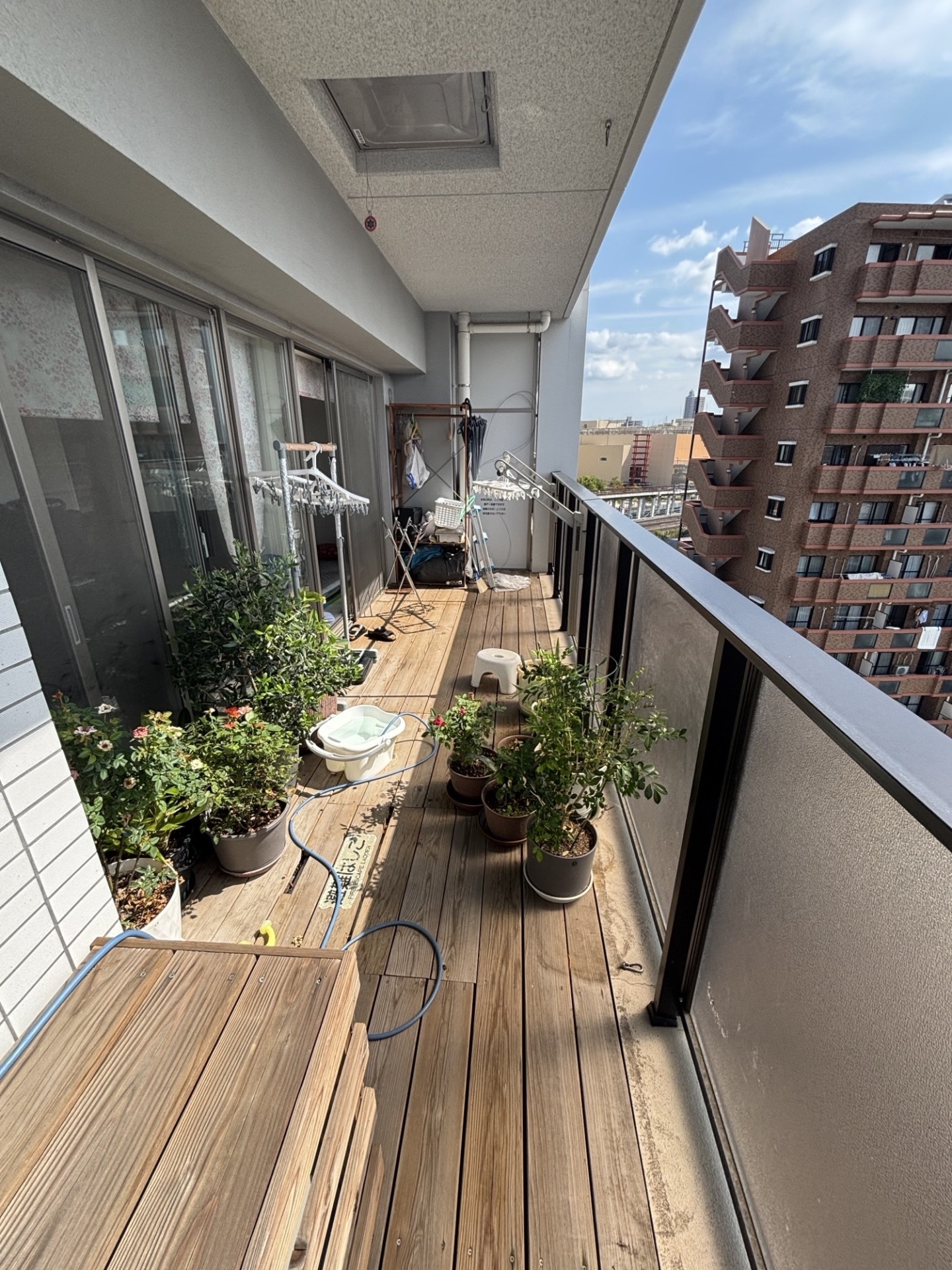 【バルコニー】(2025年9月)