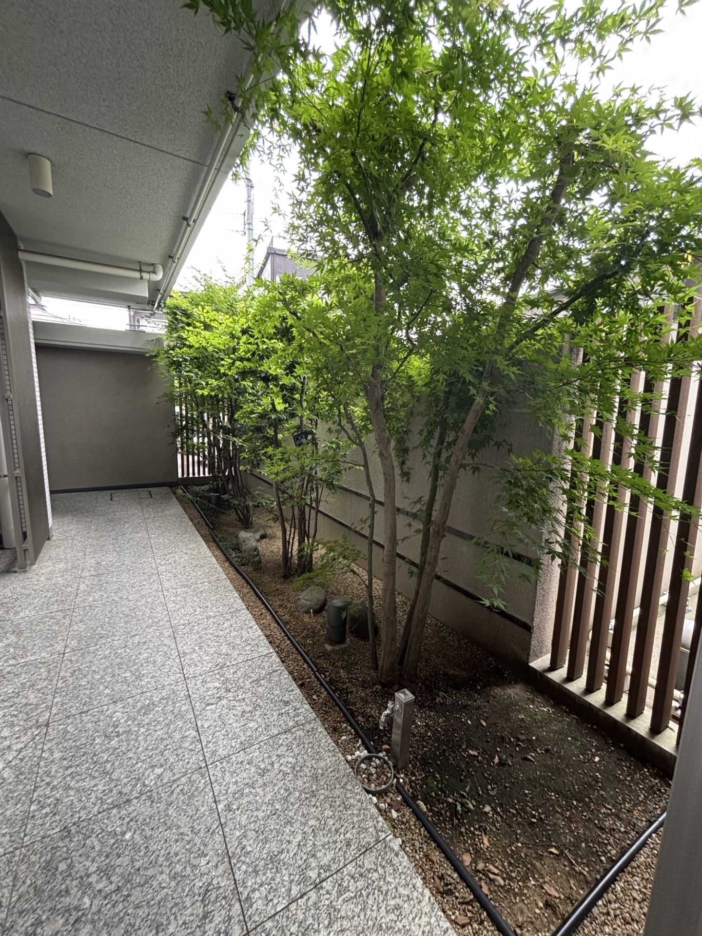 【その他共用部】エントランスホールからエレベーターホールへの動線(2025年6月)