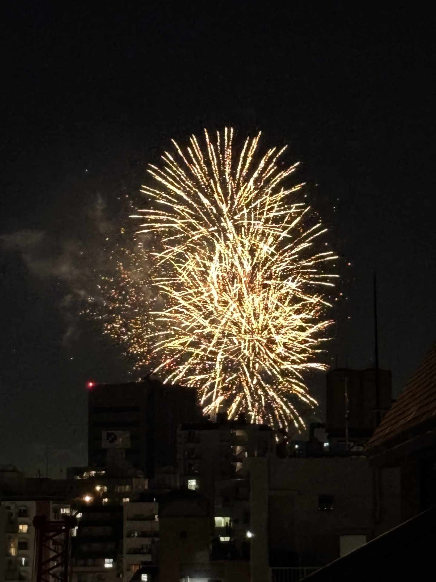 【バルコニー】隅田川花火大会の花火(2025年11月)