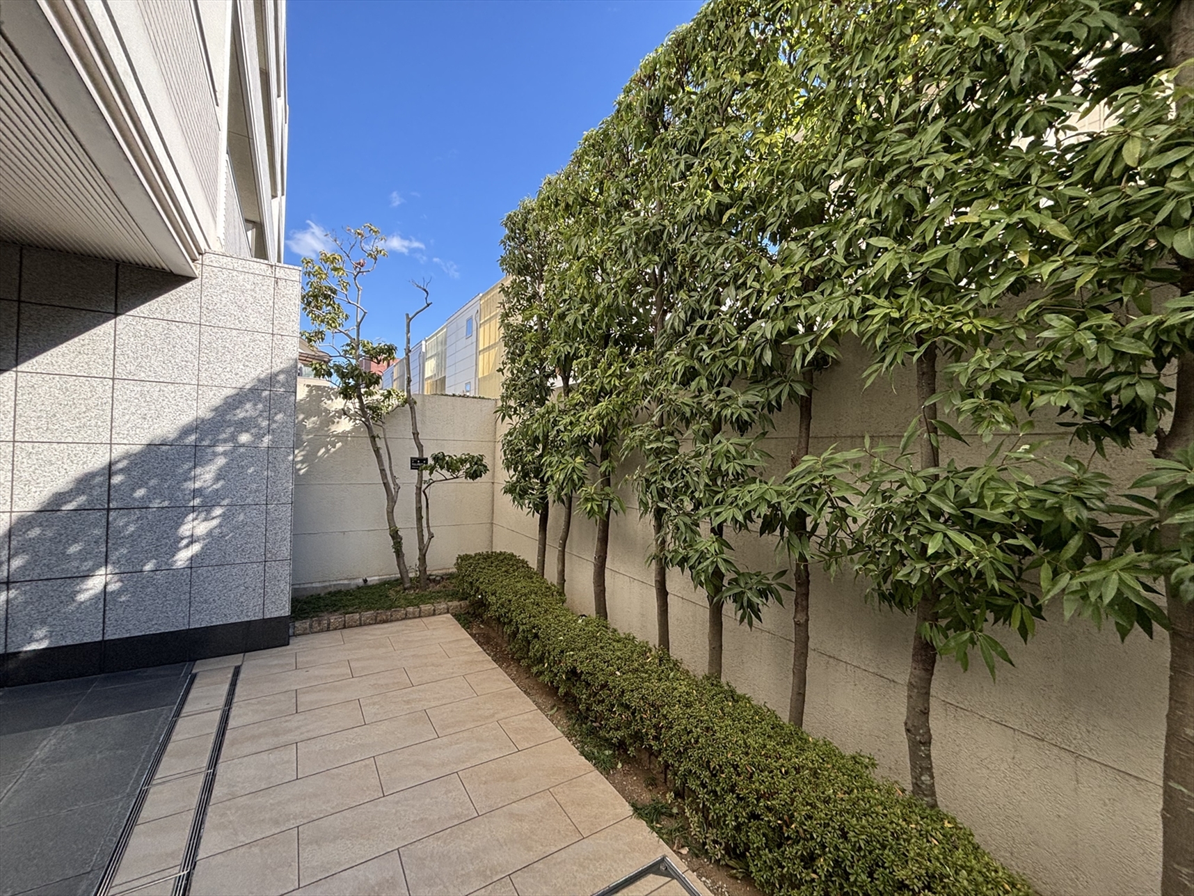 【エントランス】敷地内には緑もあり心地よい空間。(2026年3月)