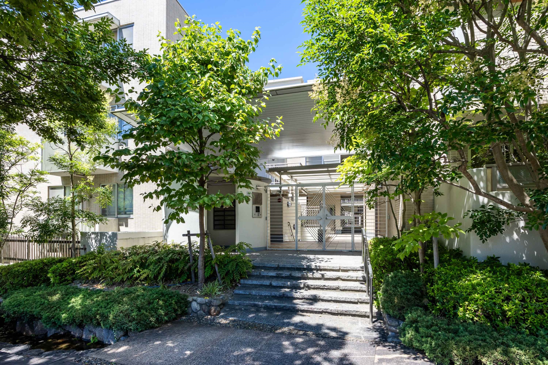 【エントランス】緑豊かなエントランス。公開空地として木々が美しく保たれています。(2025年8月)