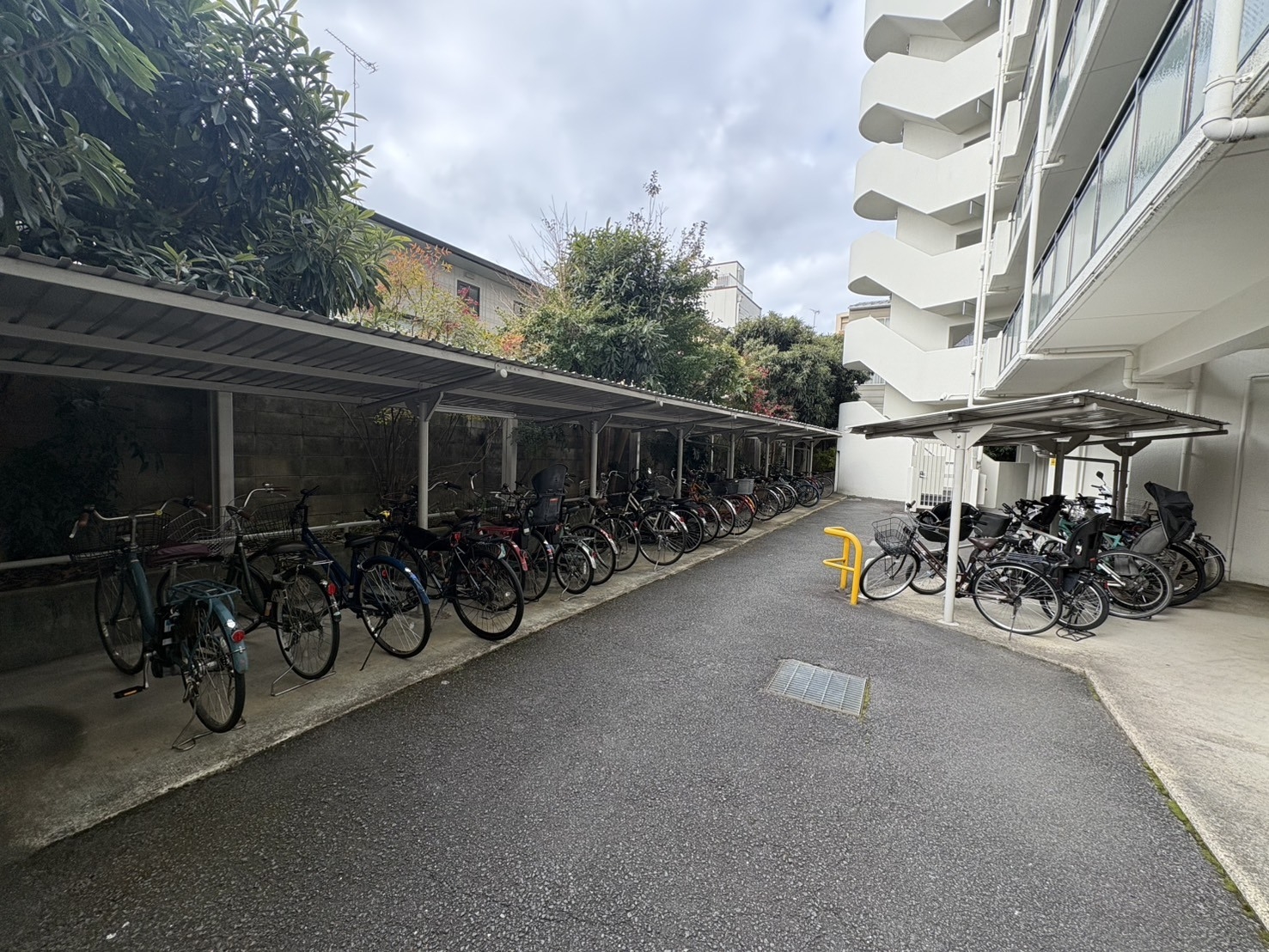 【その他共用部】駐輪場(2026年1月)