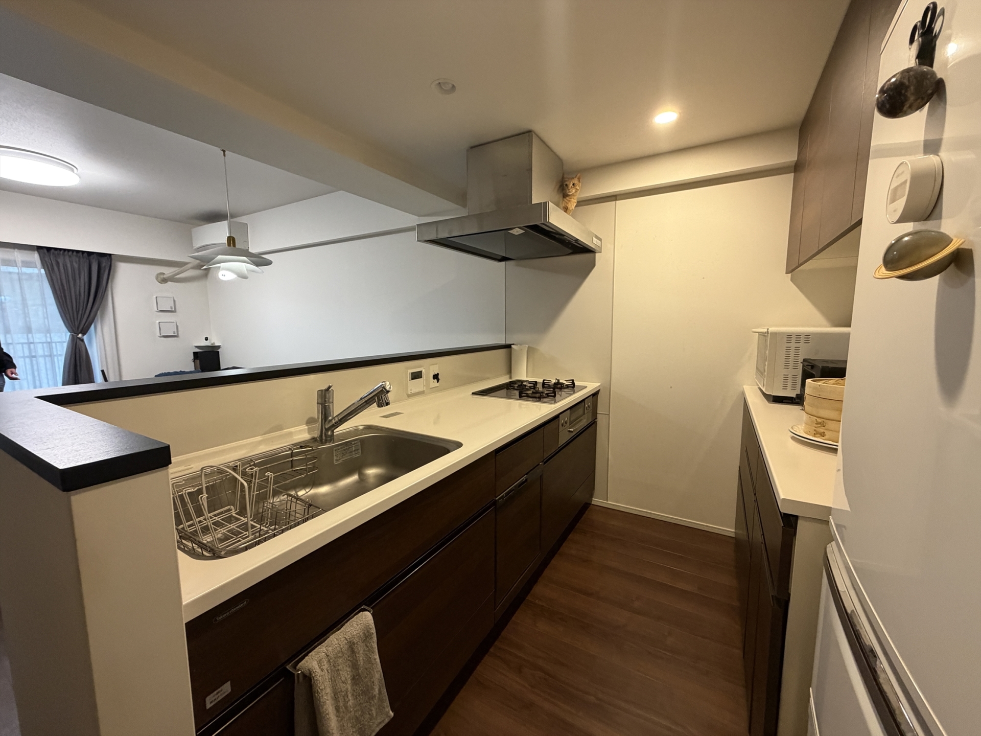 【キッチン】食洗器付きの広々としたキッチン(2026年2月)