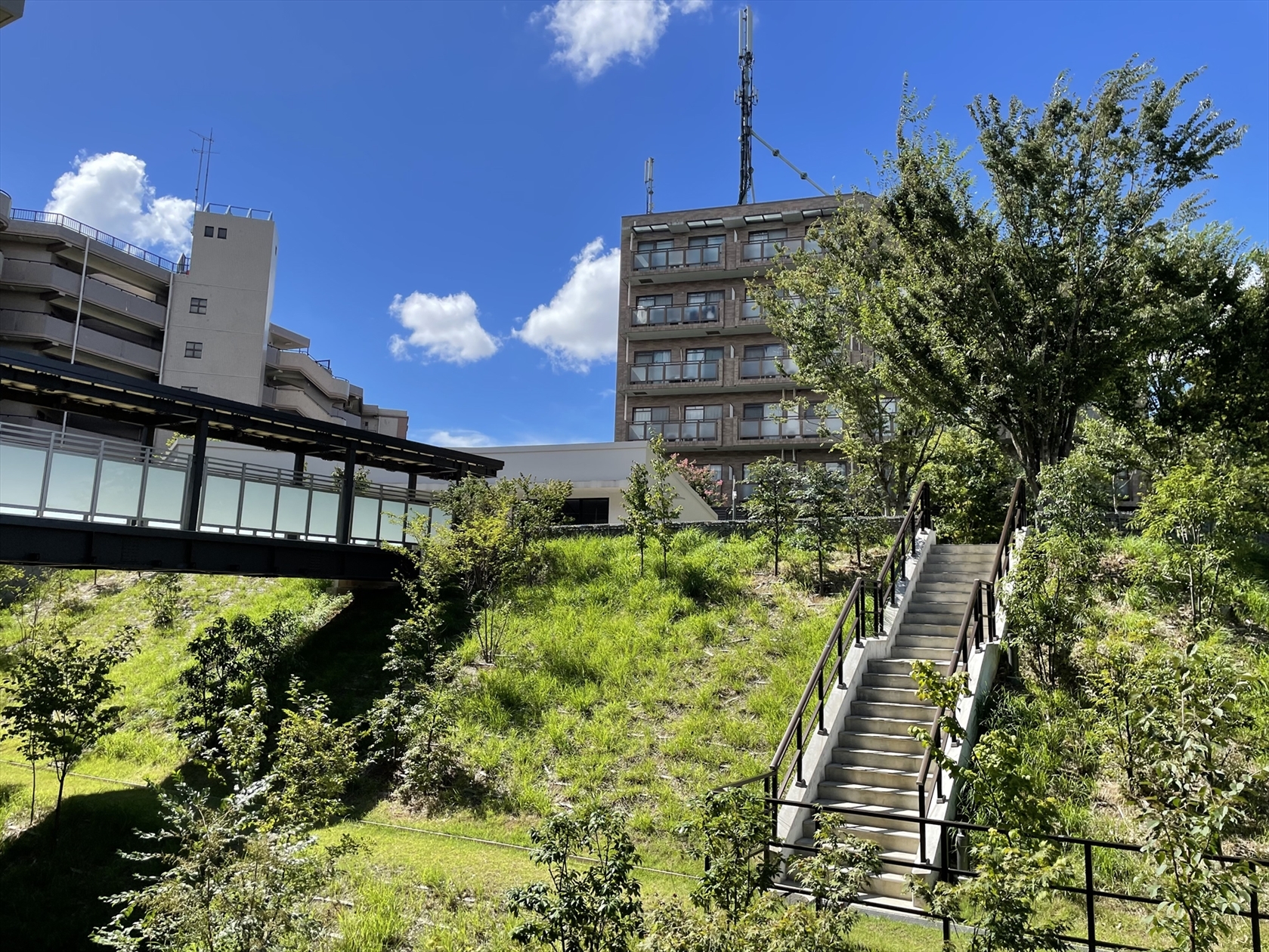 【その他共用部】敷地内には緑豊かな空間が広がります。(2023年8月)