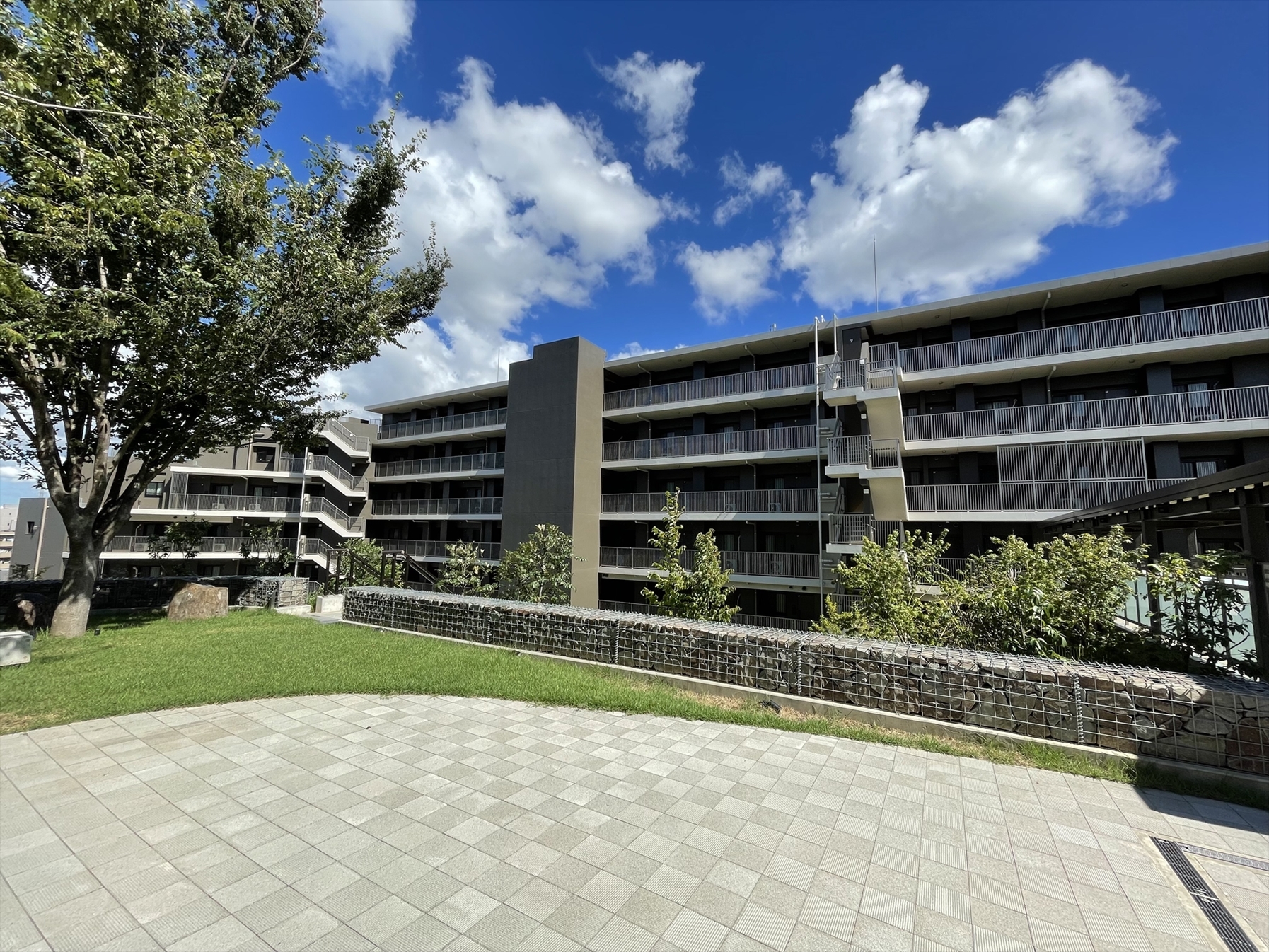 【その他共用部】シンボルツリーのけやきがたたずむ「もりラボ」(2023年8月)