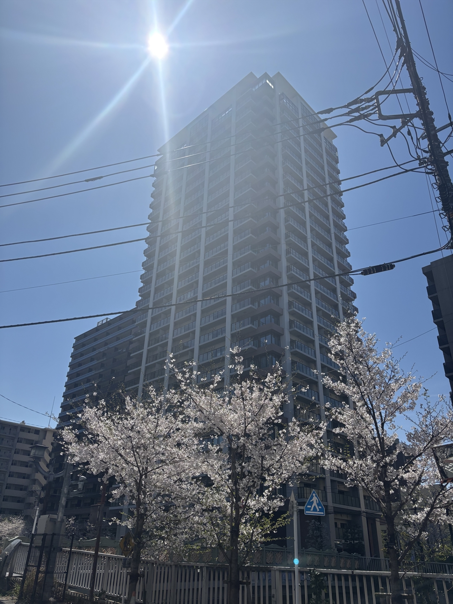 【外観】敷地には約700平米のフォレストパーク有(2026年4月)