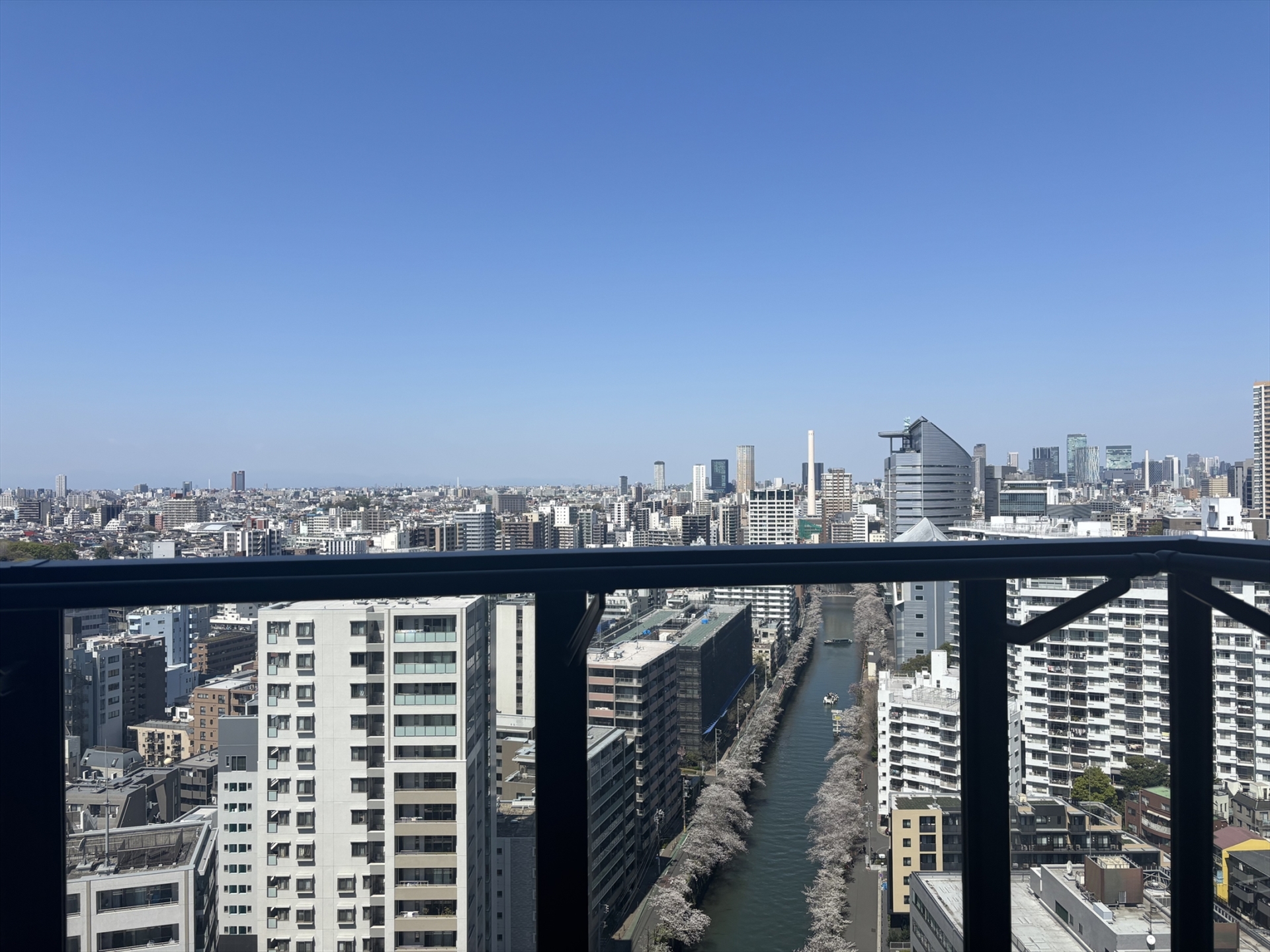 【その他画像】目黒川ビュー(2026年4月)
