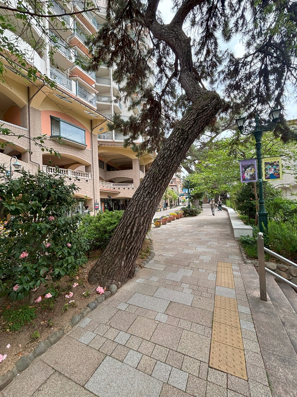 【周辺】(2026年4月)