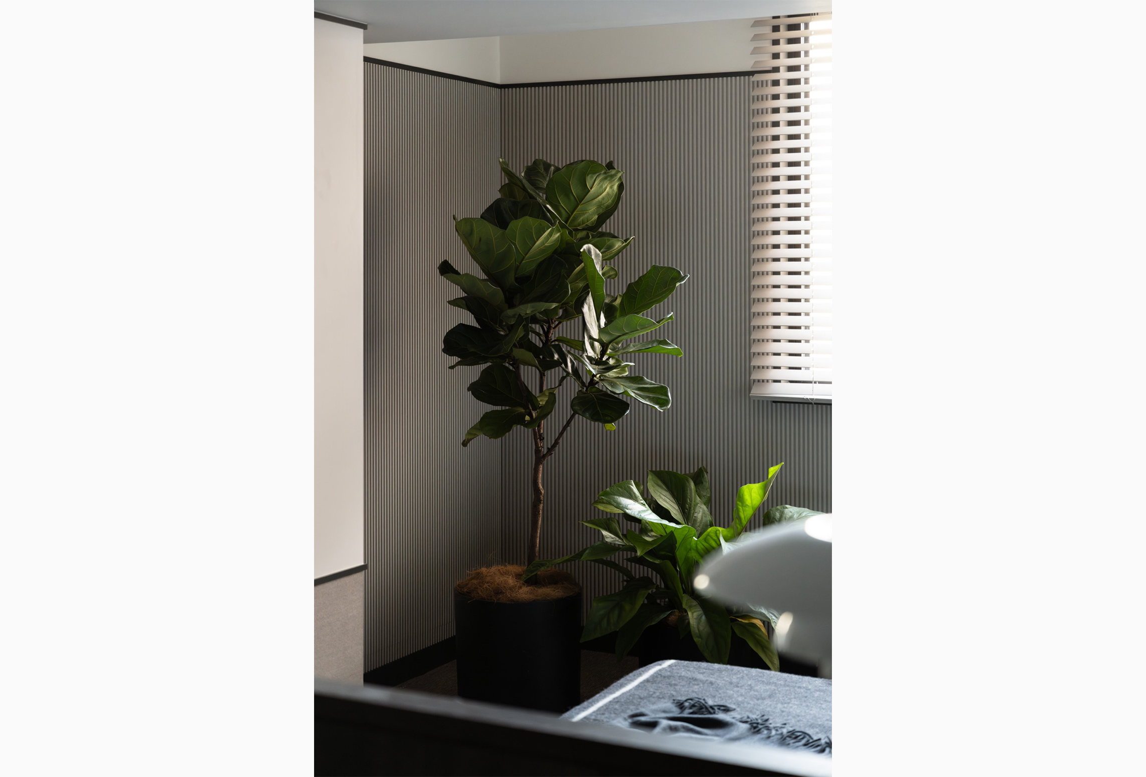 洋室（1）（2026年1月）