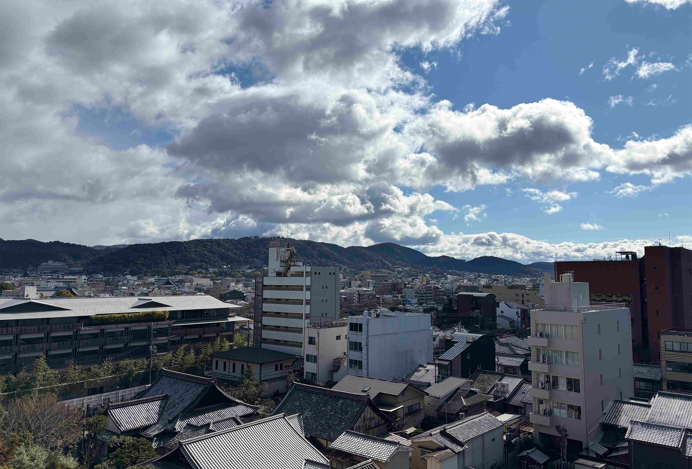 眺望（2026年1月）