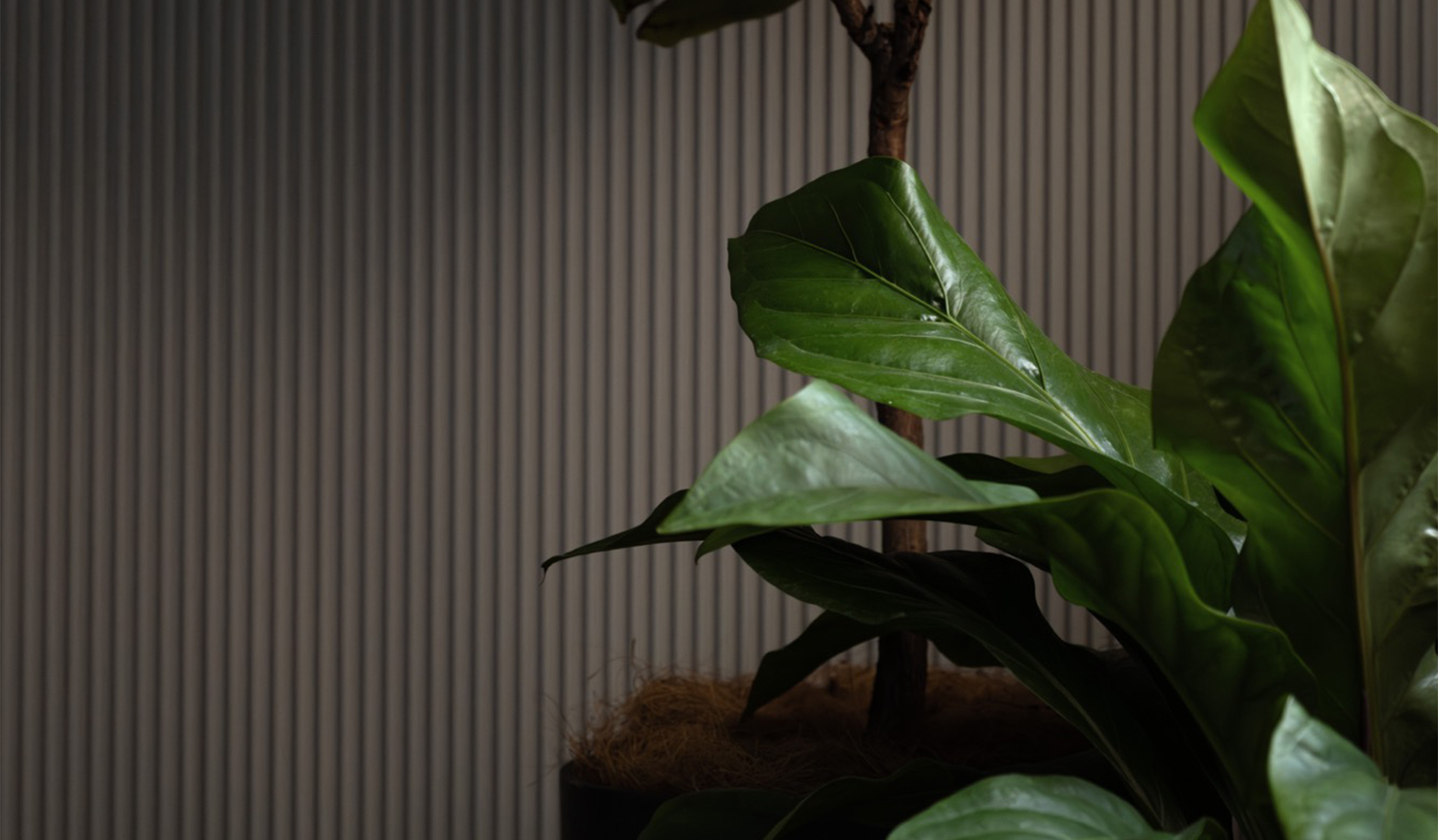 ザ・アッパーレジデンス・アット・南青山の内観